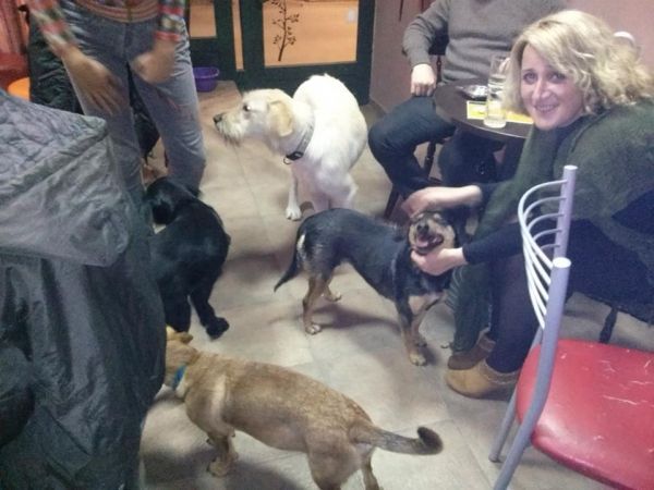 Departman za ekologiju i za&scaron;titu životne sredine podržao akciju Udruženja za za&scaron;titu životinja Novi Sad &ndash; SPANS